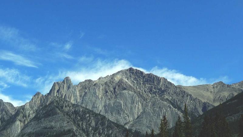 Arsenal hứng chịu cuộc khủng hoảng chấn thương chưa từng có: 11 cầu thủ rút khỏi đội tuyển quốc gia