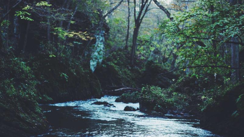 Real Madrid lên kế hoạch nâng cấp đội hình: Nhắm Enzo Fernández và thay thế David Alaba